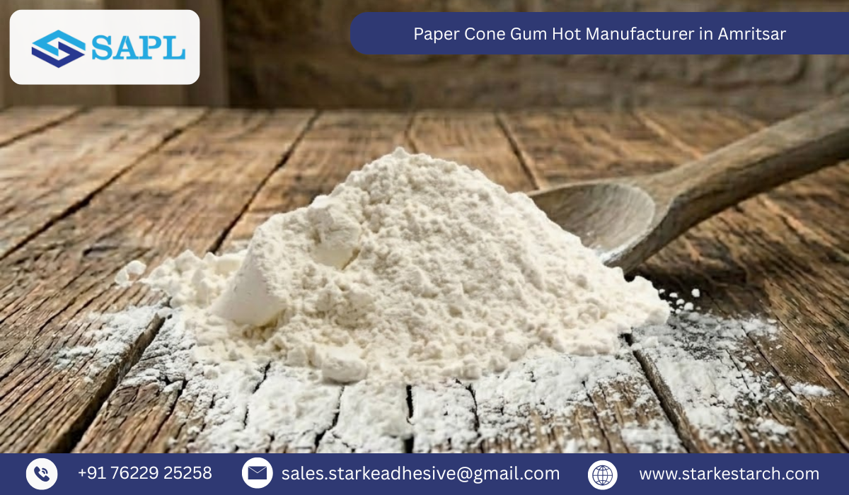 Paper Cone Gum Hot Manufacturer in Amritsar
