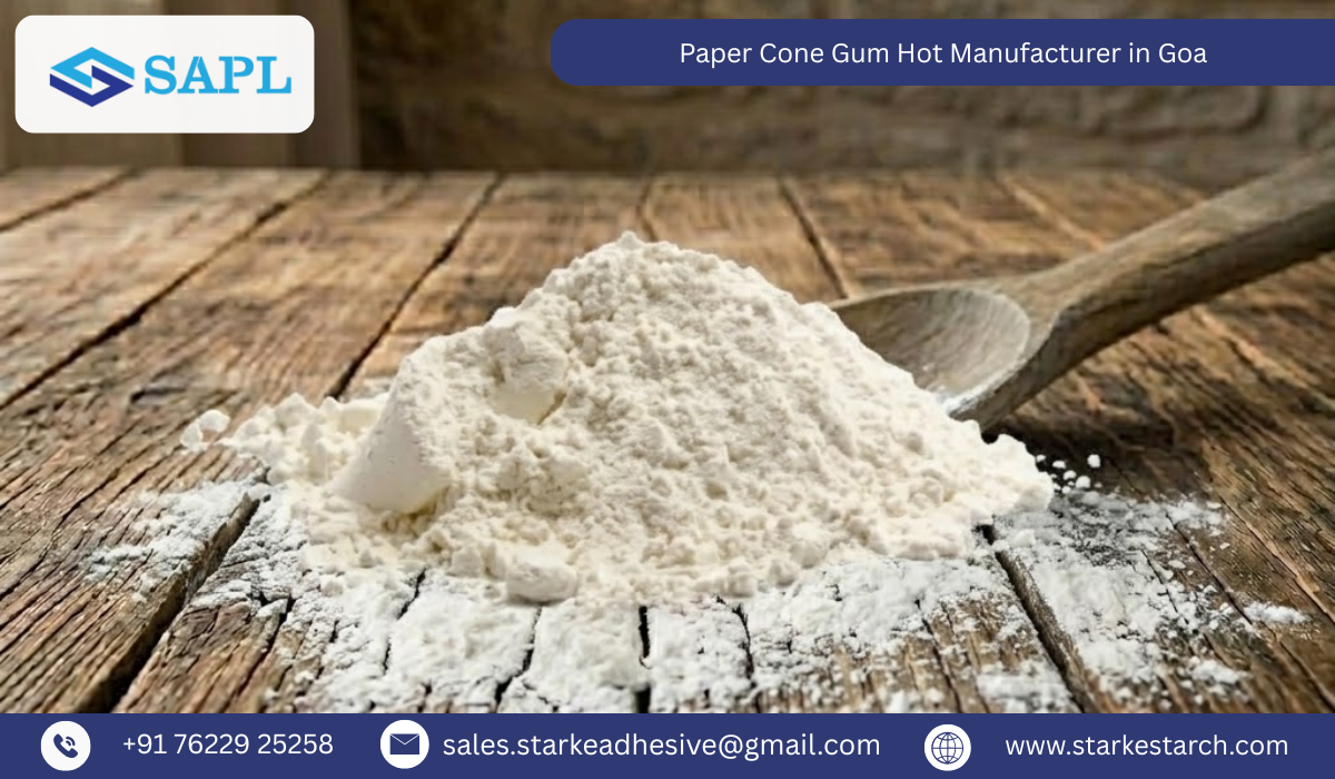 Paper Cone Gum Hot Manufacturer in Goa